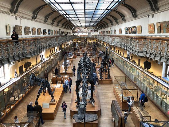 Museum of Natural History